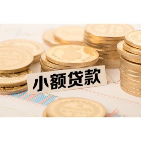 成都借款_成都身份证贷款_成都私人装修贷款当天下款拿钱